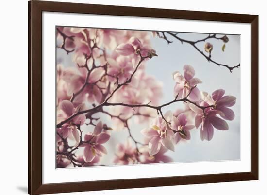 Spring Bloom-Irene Suchocki-Framed Giclee Print