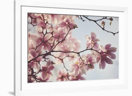 Spring Bloom-Irene Suchocki-Framed Giclee Print