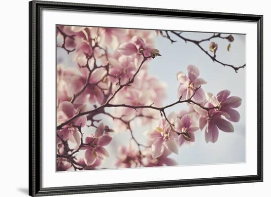 Spring Bloom-Irene Suchocki-Framed Giclee Print