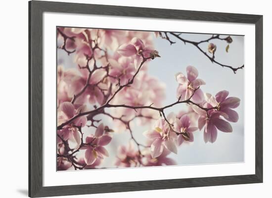 Spring Bloom-Irene Suchocki-Framed Giclee Print