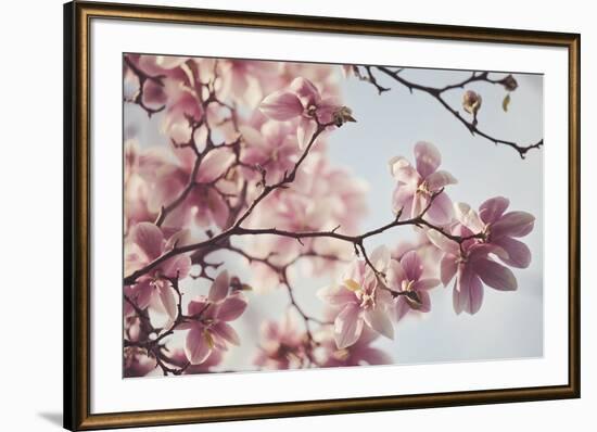 Spring Bloom-Irene Suchocki-Framed Giclee Print