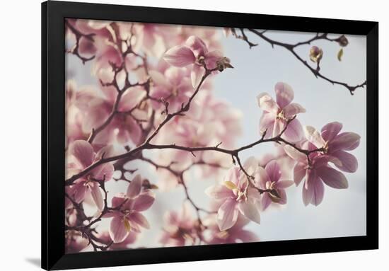 Spring Bloom-Irene Suchocki-Framed Giclee Print