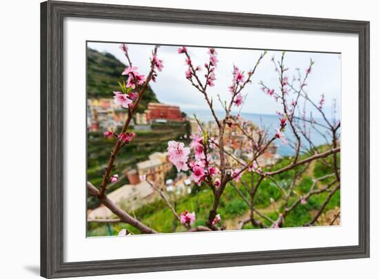 Spring Blooming Cherry Tree with Background Scenic View of Colorful Houses of Manarola Village, Cin-BlueOrange Studio-Framed Photographic Print