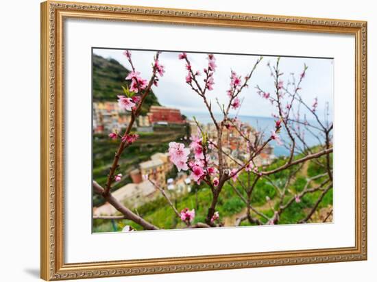 Spring Blooming Cherry Tree with Background Scenic View of Colorful Houses of Manarola Village, Cin-BlueOrange Studio-Framed Photographic Print