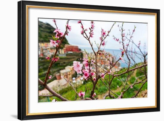 Spring Blooming Cherry Tree with Background Scenic View of Colorful Houses of Manarola Village, Cin-BlueOrange Studio-Framed Photographic Print