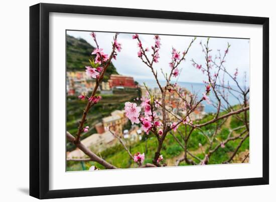 Spring Blooming Cherry Tree with Background Scenic View of Colorful Houses of Manarola Village, Cin-BlueOrange Studio-Framed Photographic Print
