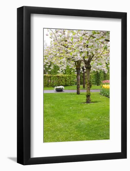 Spring Blooming Trees-neirfy-Framed Photographic Print