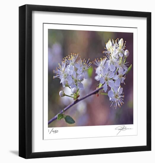 Spring Blooms-Ken Bremer-Framed Limited Edition