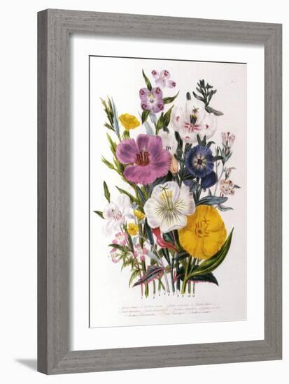 Spring Blooms-Jane W. Loudon-Framed Giclee Print