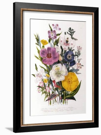 Spring Blooms-Jane W. Loudon-Framed Giclee Print