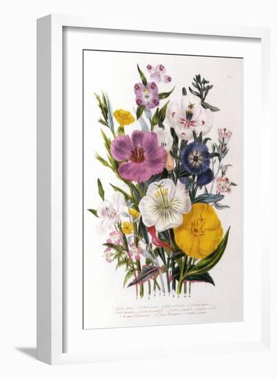 Spring Blooms-Jane W. Loudon-Framed Giclee Print