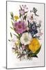 Spring Blooms-Jane W. Loudon-Mounted Giclee Print