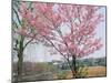 Spring Blossom and Lake at Ueno-Koen Park, Ueno, Tokyo, Japan-Richard Nebesky-Mounted Photographic Print