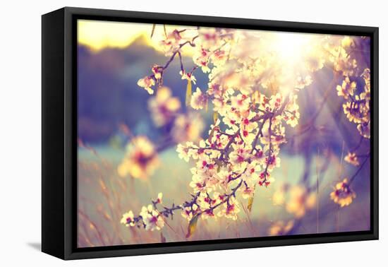 Spring Blossom Background. Beautiful Nature Scene with Blooming Tree and Sun Flare. Sunny Day. Spri-Subbotina Anna-Framed Premier Image Canvas