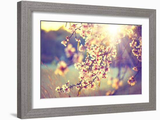 Spring Blossom Background. Beautiful Nature Scene with Blooming Tree and Sun Flare. Sunny Day. Spri-Subbotina Anna-Framed Photographic Print