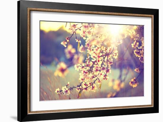 Spring Blossom Background. Beautiful Nature Scene with Blooming Tree and Sun Flare. Sunny Day. Spri-Subbotina Anna-Framed Photographic Print