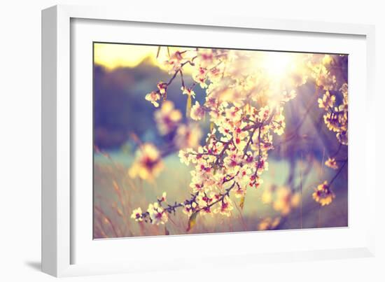 Spring Blossom Background. Beautiful Nature Scene with Blooming Tree and Sun Flare. Sunny Day. Spri-Subbotina Anna-Framed Photographic Print