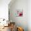 Spring Blossom Birds II-Sandra Jacobs-Mounted Giclee Print displayed on a wall