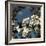 Spring Blossom on Tree 004-Tom Quartermaine-Framed Giclee Print