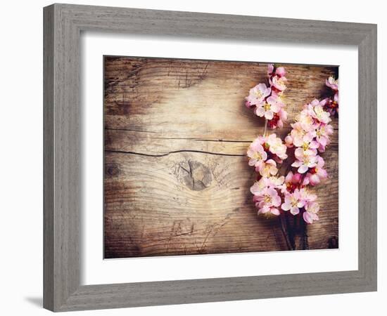 Spring Blossom over Wood Background-Subbotina Anna-Framed Art Print