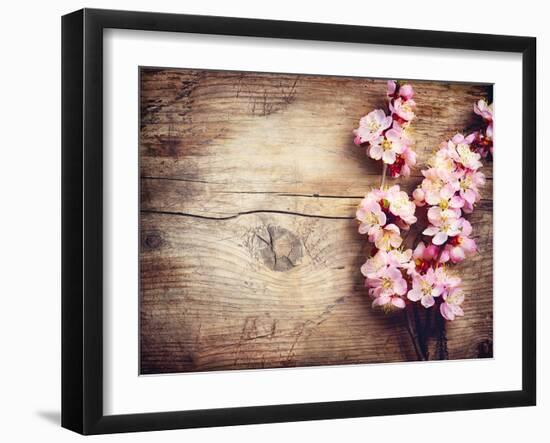 Spring Blossom over Wood Background-Subbotina Anna-Framed Art Print