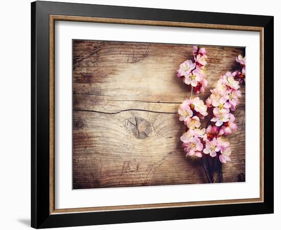 Spring Blossom over Wood Background-Subbotina Anna-Framed Art Print