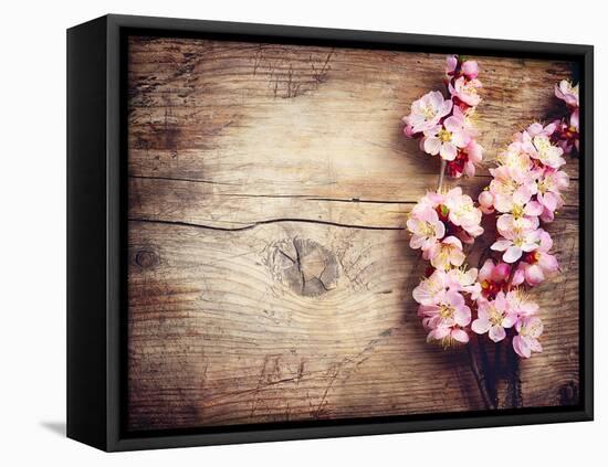 Spring Blossom over Wood Background-Subbotina Anna-Framed Stretched Canvas