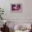 Spring Blossom - Purple-Joseph Eta-Framed Giclee Print displayed on a wall