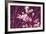 Spring Blossom - Purple-Joseph Eta-Framed Giclee Print