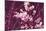 Spring Blossom - Purple-Joseph Eta-Mounted Giclee Print