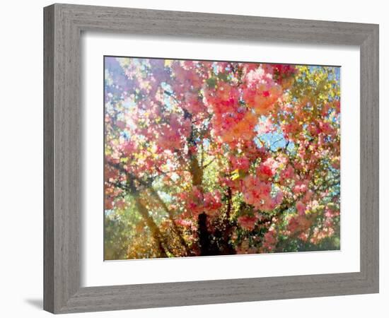 Spring Blossom Sky, 2018,-Helen White-Framed Giclee Print