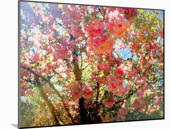 Spring Blossom Sky, 2018,-Helen White-Mounted Giclee Print