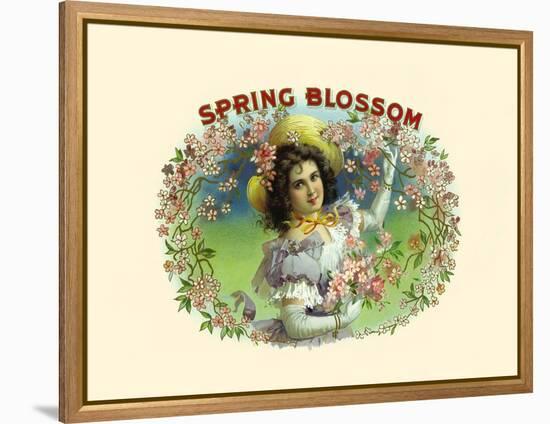 Spring Blossom-Witsch & Schmitt Lihto.-Framed Stretched Canvas