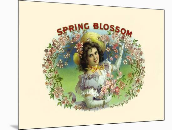 Spring Blossom-Witsch & Schmitt Lihto.-Mounted Art Print