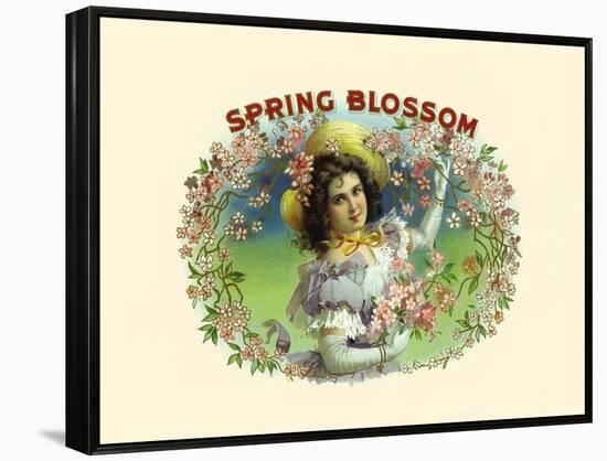 Spring Blossom-Witsch & Schmitt Lihto.-Framed Stretched Canvas