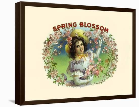 Spring Blossom-Witsch & Schmitt Lihto.-Framed Stretched Canvas