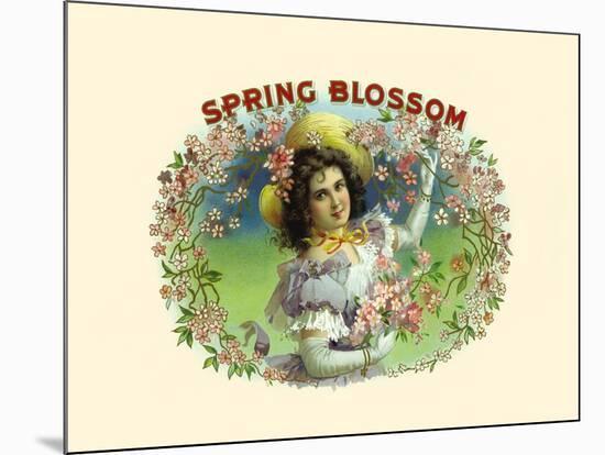 Spring Blossom-Witsch & Schmitt Lihto.-Mounted Art Print