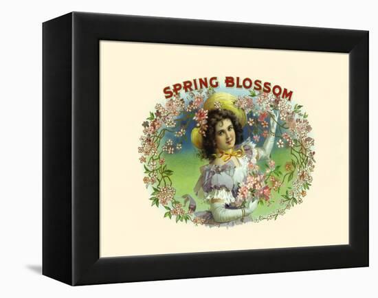 Spring Blossom-Witsch & Schmitt Lihto.-Framed Stretched Canvas