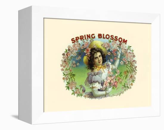 Spring Blossom-Witsch & Schmitt Lihto.-Framed Stretched Canvas