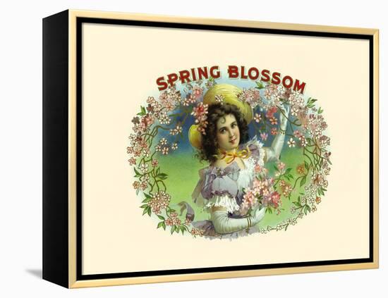 Spring Blossom-Witsch & Schmitt Lihto.-Framed Stretched Canvas