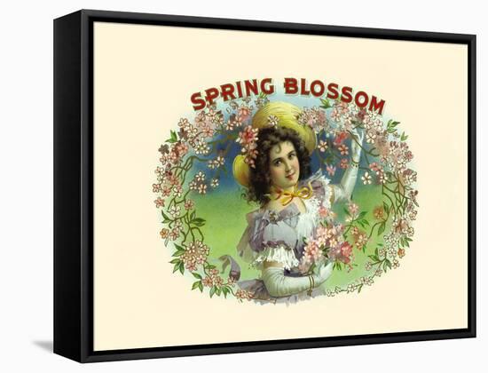 Spring Blossom-Witsch & Schmitt Lihto.-Framed Stretched Canvas