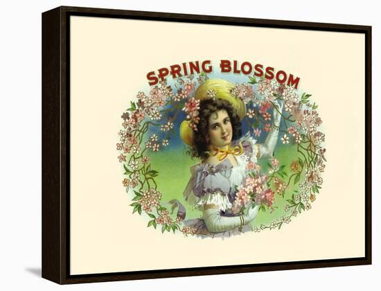 Spring Blossom-Witsch & Schmitt Lihto.-Framed Stretched Canvas