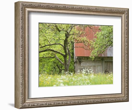 Spring Blossoms and Alpine House, Spodnja Trenta, Gorenjska, Slovenia-Walter Bibikow-Framed Photographic Print