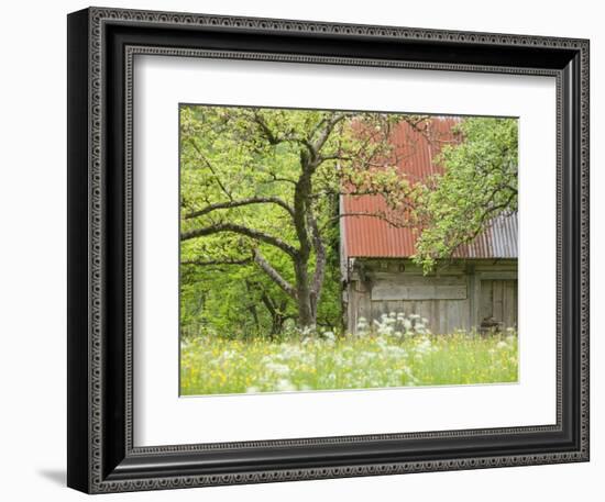 Spring Blossoms and Alpine House, Spodnja Trenta, Gorenjska, Slovenia-Walter Bibikow-Framed Photographic Print