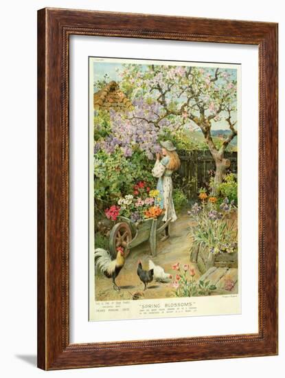 Spring Blossoms, from the Pears Annual, 1902-William Stephen Coleman-Framed Giclee Print