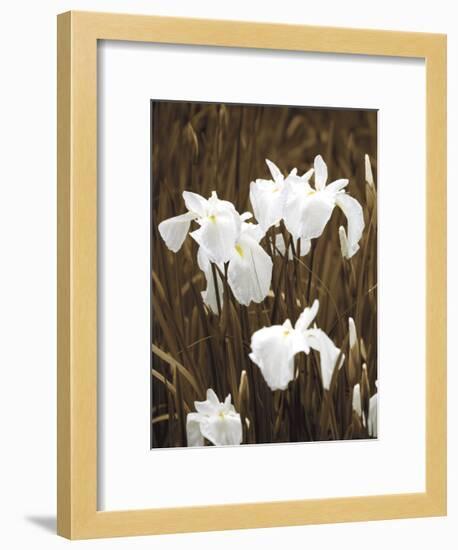 Spring Blossoms I-Boyce Watt-Framed Giclee Print