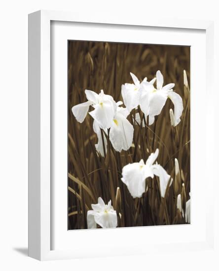 Spring Blossoms I-Boyce Watt-Framed Giclee Print