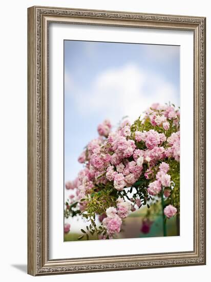 Spring Blossoms I-Karyn Millet-Framed Photographic Print