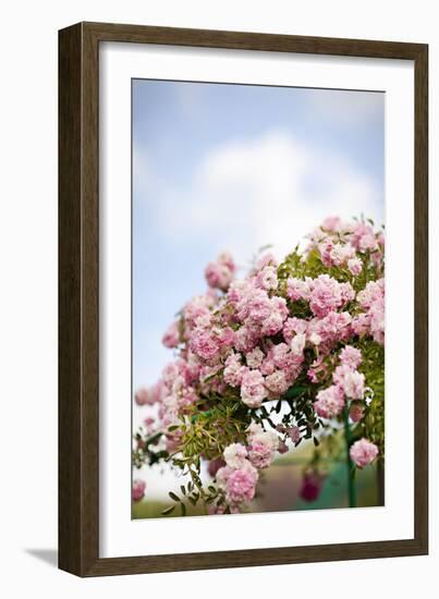 Spring Blossoms I-Karyn Millet-Framed Photographic Print