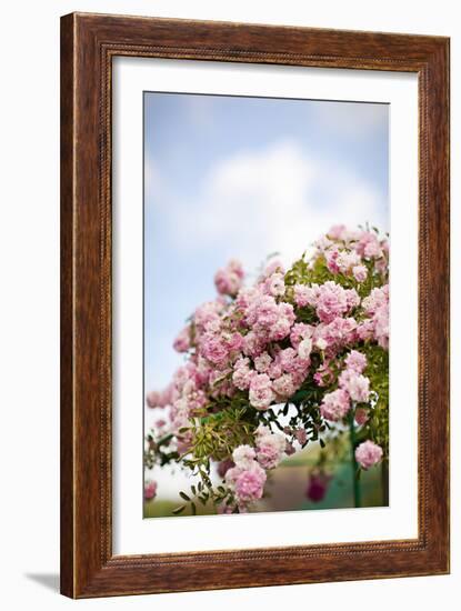 Spring Blossoms I-Karyn Millet-Framed Photographic Print